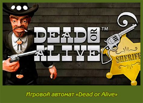 dead +or alive игровой автомат
